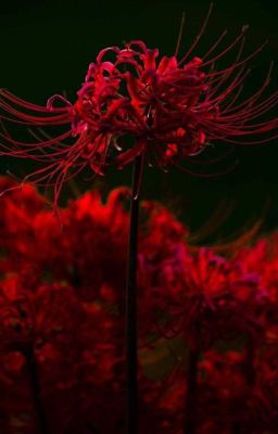 Дневники пациента