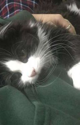 ты тоже умеешь любить.