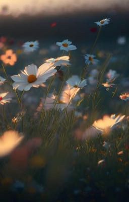 Я люблю тебя, любил и буду любить