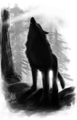 Черный Волк