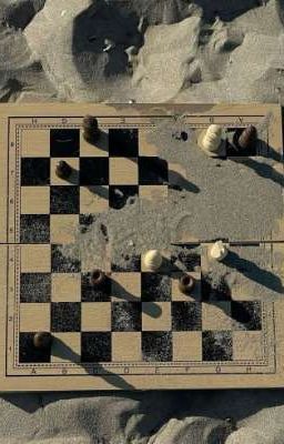Шахматы.