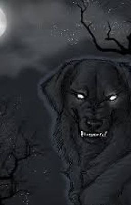 Сопровождающий