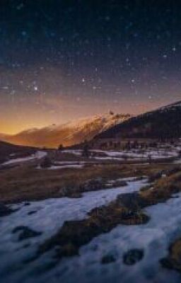 Моя новая жизнь.