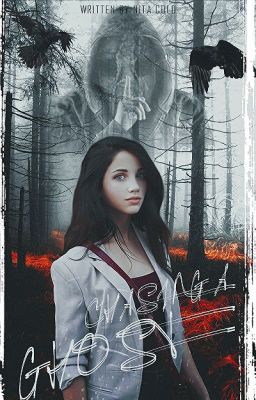 В погоне за призраком