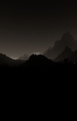 Любимый зверь