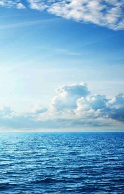 "Саморазвитие и Самоконтроль" Н. Перов