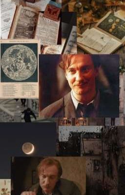 Эксперт по магическим существам [ЗАКОНЧЕНО]