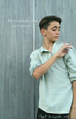 Неожиданная встреча 
