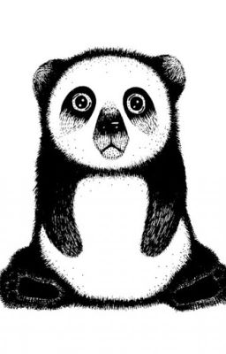 Сказка об одной Панде