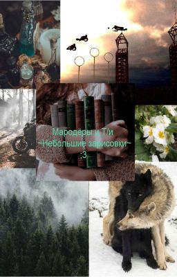 Мародёры и Т/и. Небольшие зарисовки~