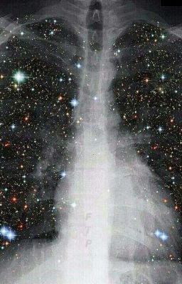 Жизнь так как она есть 