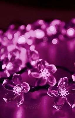 Цветение сакуры