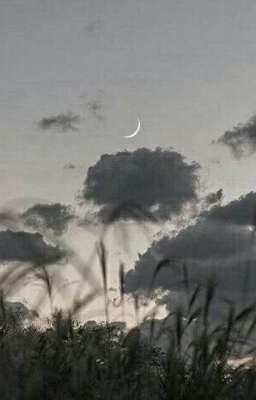 потоки мыслей