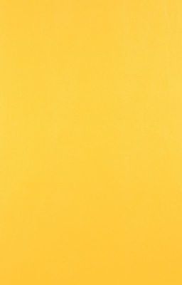 Дом, в котором нас не будет