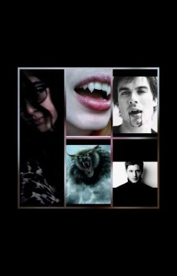 Полукровка Или Любовь Вампира И Оборотня 