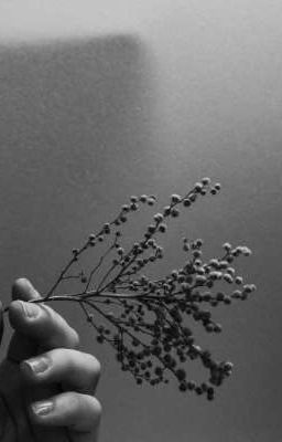 Долгожданная встреча 