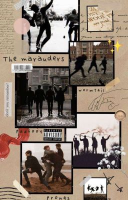 Важная Информация По Миру Гарри Поттера 