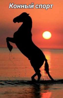 конный спорт 🐎❤️