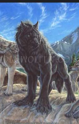 оборотни из северной стаи (2) 