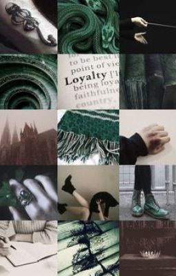 Моя принцесса