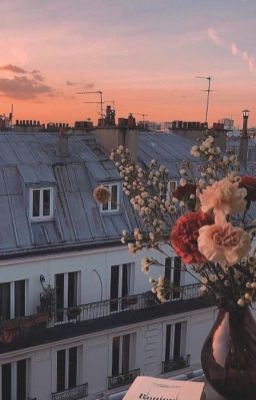 Книжный вор 