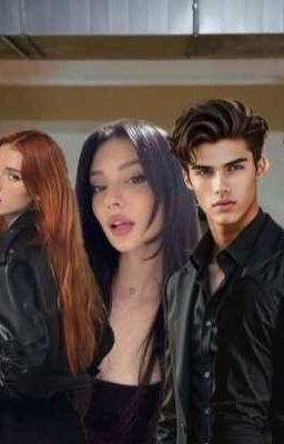 история бойцов