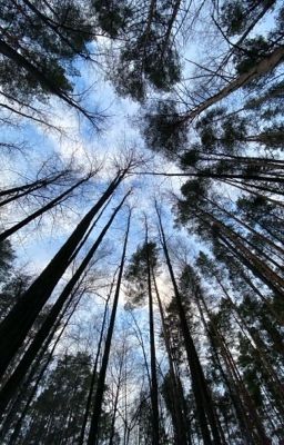 где тот заветный покой?