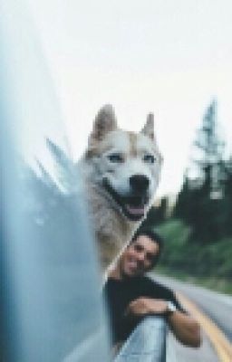 Подари мне счастье 