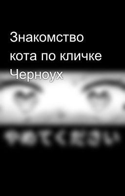 Знакомство кота по кличке Черноух