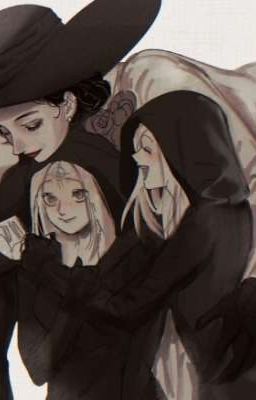 Новая жизнь, новая семья 