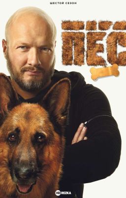 Возвращение к прошлому