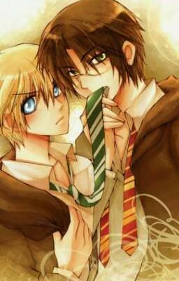 Гарри и Драко ( Перевыпуск)