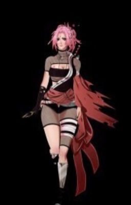 Хвост Феи и Сакура 