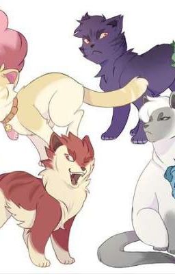 My cat's♡(Male! Y/n and 13cards) 