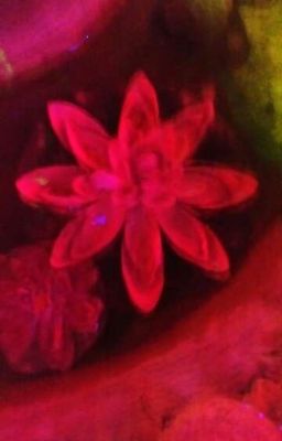 Вызовы духов