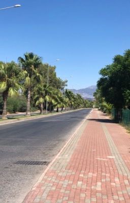 Неподдельная страсть 