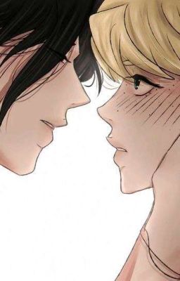 Я Буду Защищать, Мстить И Любить  (хенликсы) [ЗАВЕРШЁН] 