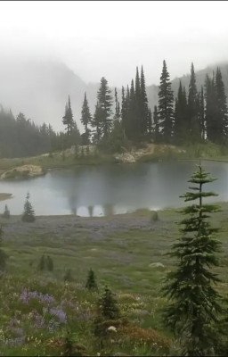 Зачем я здесь?