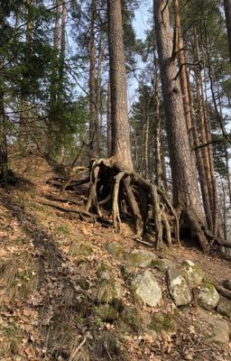 Боль, что во мне