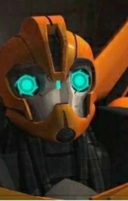 На встречу к приключениям! 