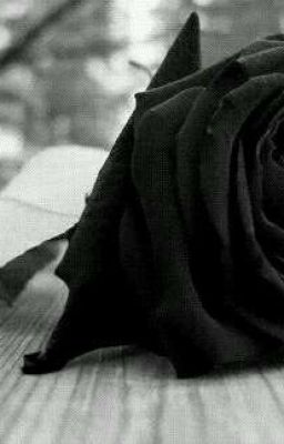 Розы бывают и чёрными