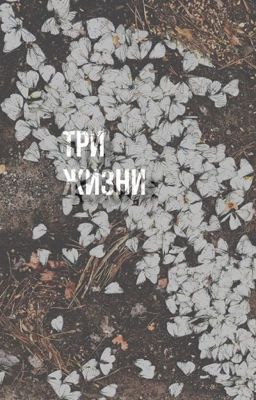 Три Жизни