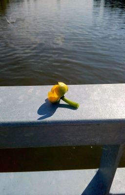 Экзорцизм: между Раем и Адом