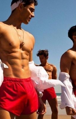 Кошачий переполох°