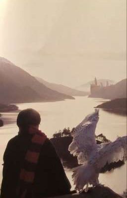 Гарри Поттер. Возвращение домой.