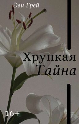 Хрупкая Тайна 