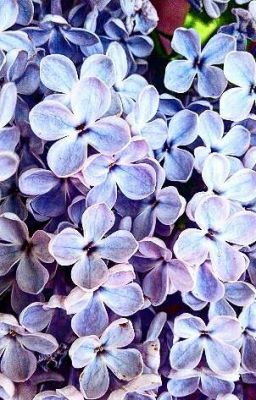 Стихи о любви