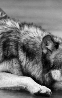 Одиночество