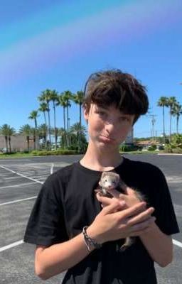 Последний шанс Завершено