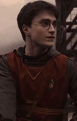 Ты мне нравишься Гарри...